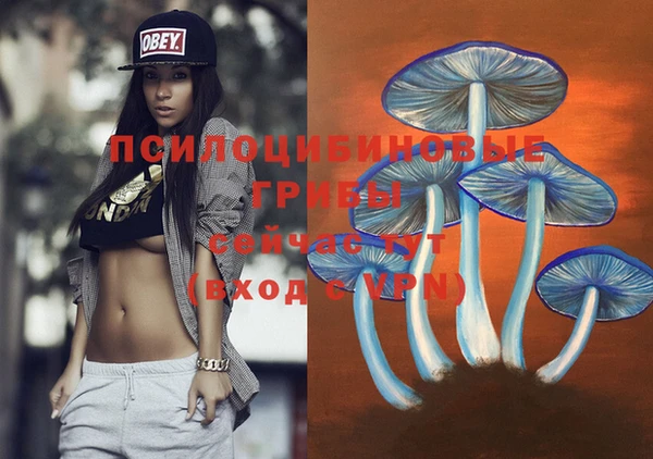 крисы Костерёво