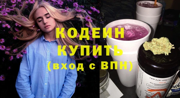 крисы Костерёво