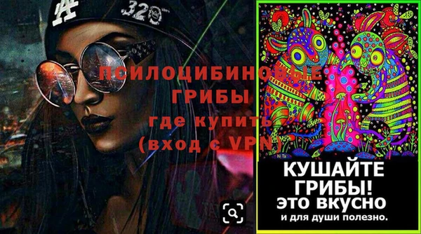 МДПВ Корсаков