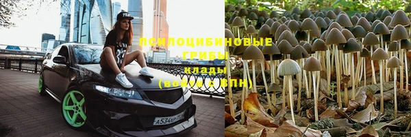 крисы Костерёво
