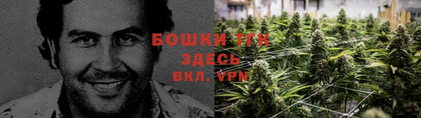 крисы Костерёво
