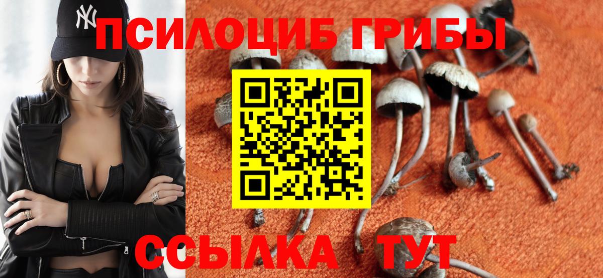 Галлюциногенные грибы GOLDEN TEACHER Златоуст