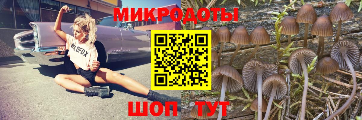 Златоуст  Псилоцибиновые грибы мухоморы  Вход с VPN 